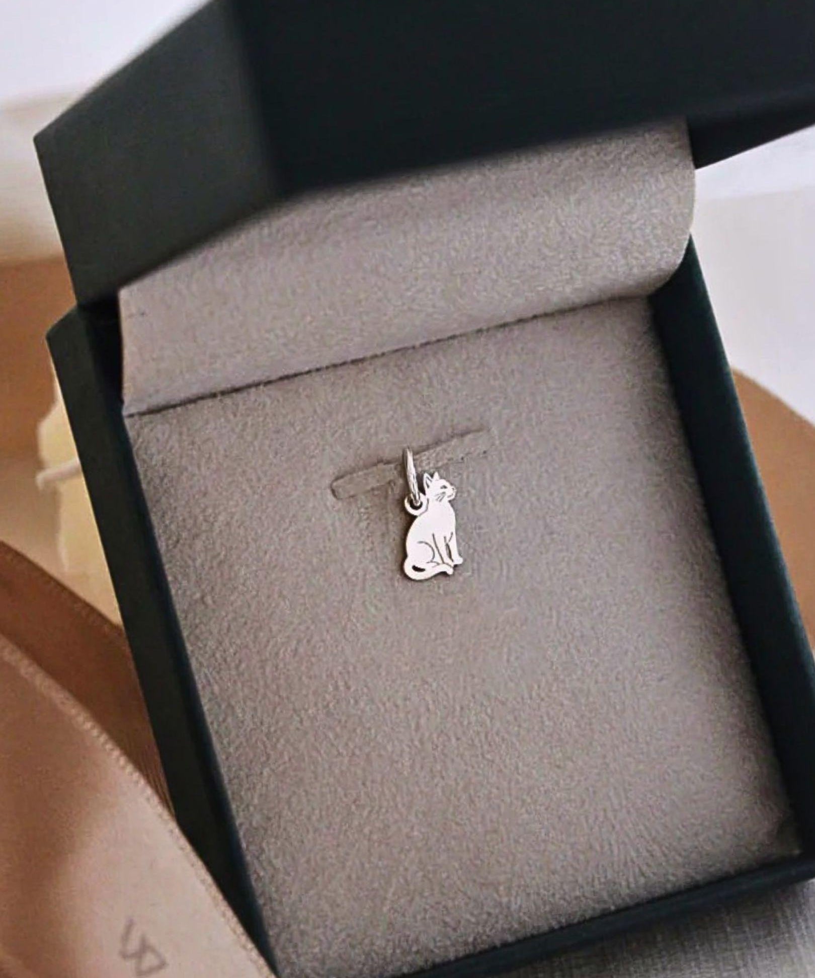 Pingente Gato Mini Personalizado Prata 950