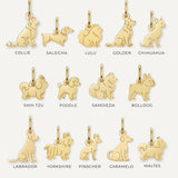 Pingente Cachorro Personalizado Ouro 18K