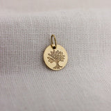 Pingente Personalizado Redondo Ouro 18K