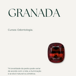 Anel Formatura Ouro 18K Granada Navete Aro Duplo - Montezza Joias