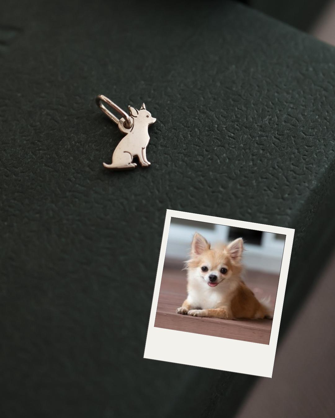 Pingente de cachorro Chihuahua em prata 950 com foto do pet de referência