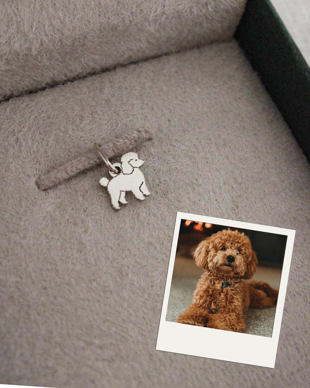 Pingente de cachorro Poodle em prata 950 com foto do pet de referência