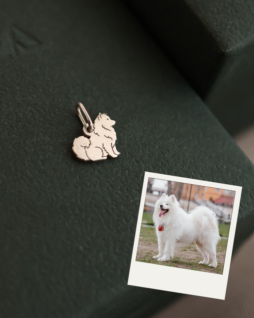 Pingente de cachorro Samoieda em prata 950 com foto do pet de referência
