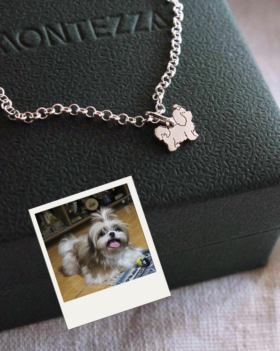 Pulseira de prata com pingente de cachorro Shih Tzu e foto do pet de referência
